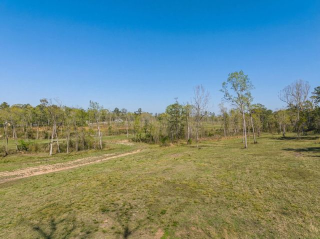 Lot 12 Fm 350 N, Livingston, TX 77351