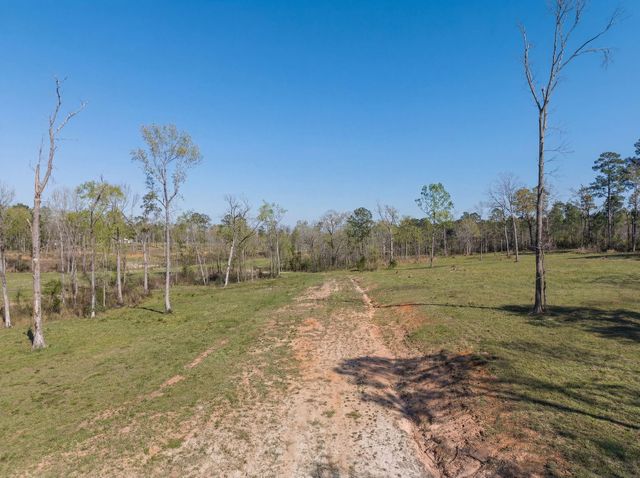 Lot 12 Fm 350 N, Livingston, TX 77351