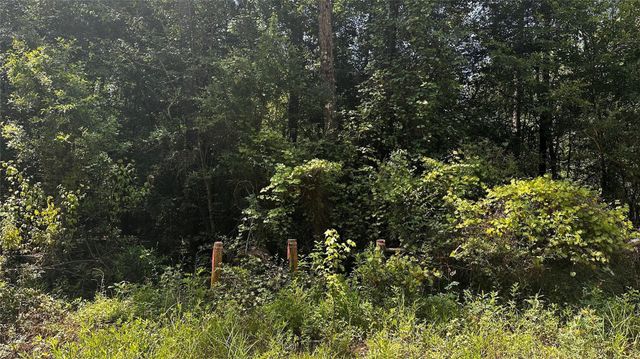 S05350 Wingfield Drive, Lumberton, TX 77657