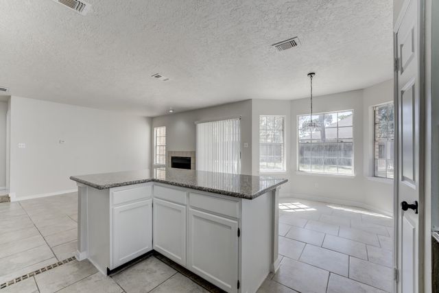 8306 Lake Crystal Drive, Houston, TX 77095