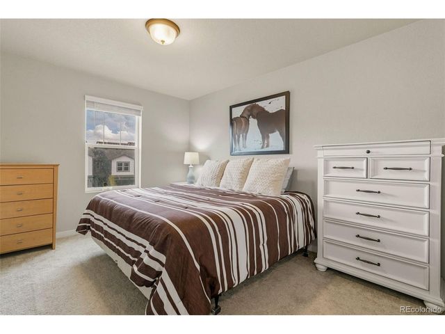 8234 Grey Bark Way, Colorado Springs, CO 80908