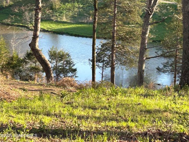 LOT 9 BIRDIE HILL ROAD, Holts Summit, MO 65043