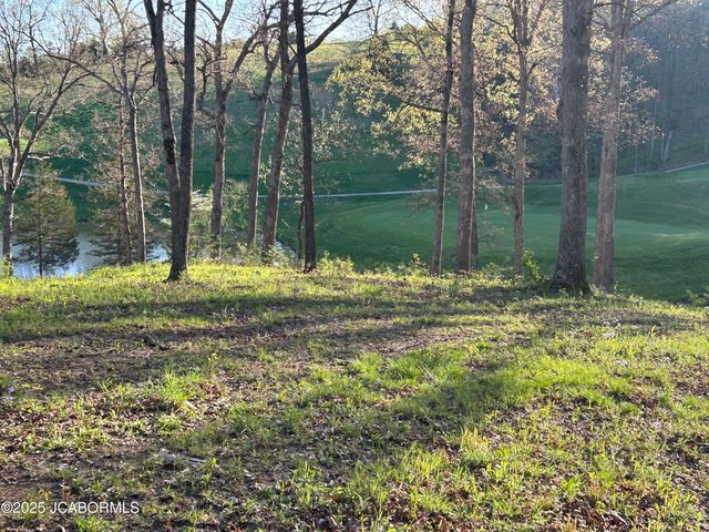 LOT 9 BIRDIE HILL ROAD, Holts Summit, MO 65043