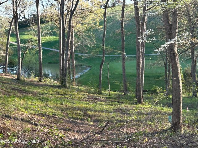 LOT 9 BIRDIE HILL ROAD, Holts Summit, MO 65043