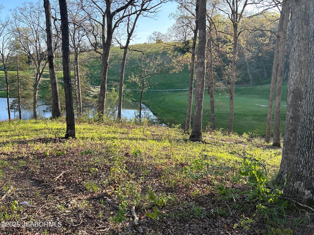 LOT 9 BIRDIE HILL ROAD, Holts Summit, MO 65043