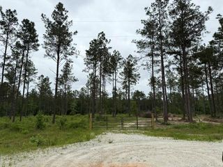 00 Richardson Road E, Livingston, TX 77351