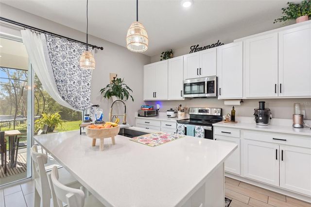 2994 GAVIN SKY DRIVE, Kissimmee, FL 34744