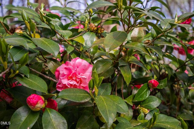 7212 Circle Bay Court, Holly Springs, NC 27540