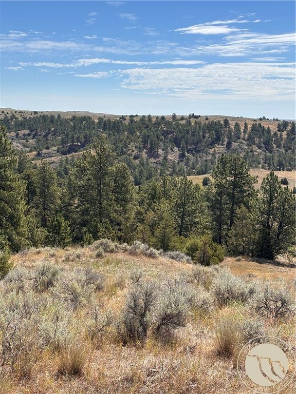 0 coulee view 4, Billings, MT 59101 photo 2