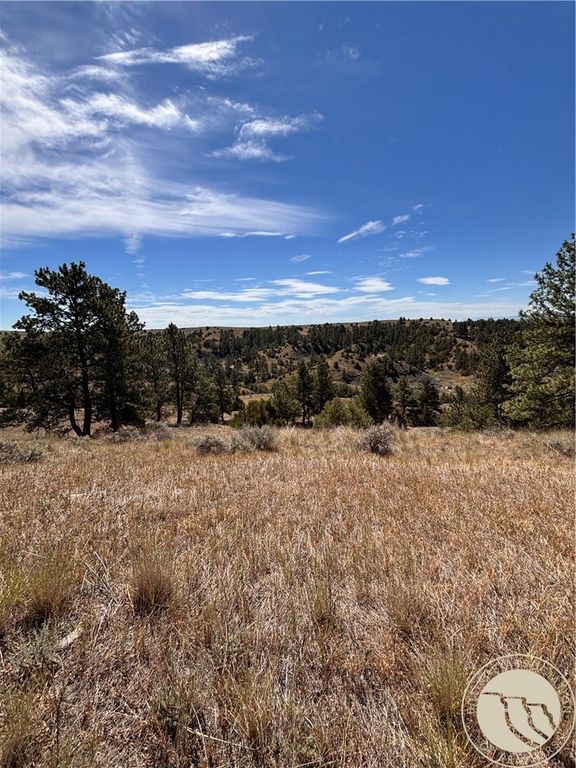 0 coulee view 4, Billings, MT 59101 photo 5