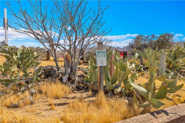 7662 Quail Springs Road, Joshua Tree, CA 92252