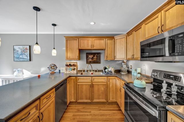 100 Mallard Lakes Court, Lexington, SC 29072