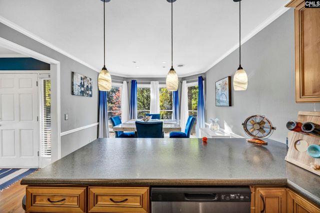 100 Mallard Lakes Court, Lexington, SC 29072