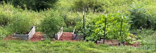 190 Benfield Road, Crossnore, NC 28616