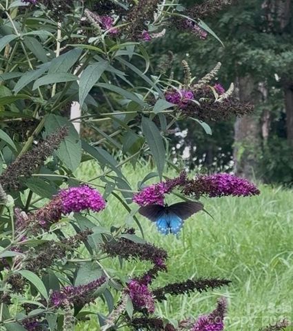 190 Benfield Road, Crossnore, NC 28616