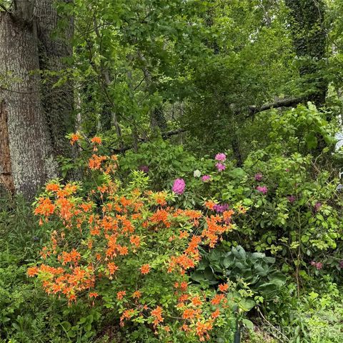 190 Benfield Road, Crossnore, NC 28616