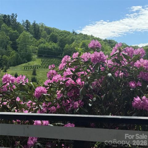 190 Benfield Road, Crossnore, NC 28616