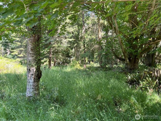 0 Davis Beach Road, Decatur Island, WA 98221