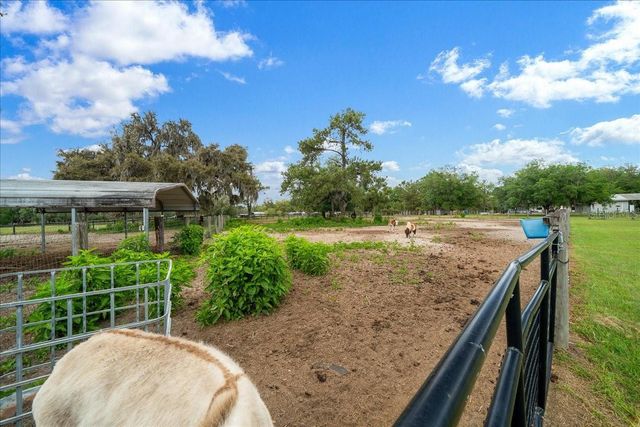 13456 W HIGHWAY 318, Williston, FL 32696