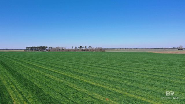 Lot 16 Davis Pond Road, Atmore, AL 36502