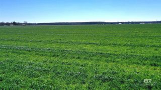 Lot 16 Davis Pond Road, Atmore, AL 36502