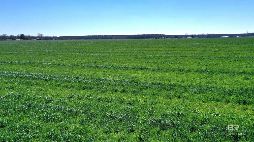Lot 16 Davis Pond Road, Atmore, AL 36502
