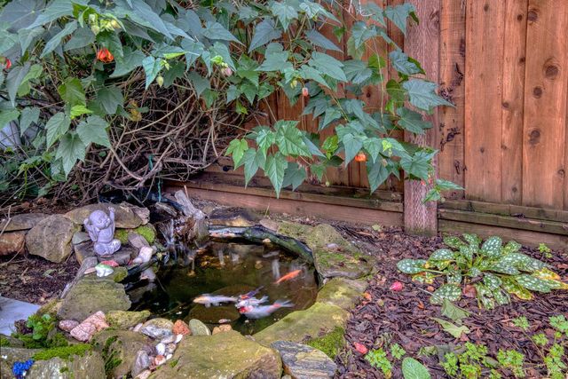 4311 Grant Way, Santa Rosa, CA 95409