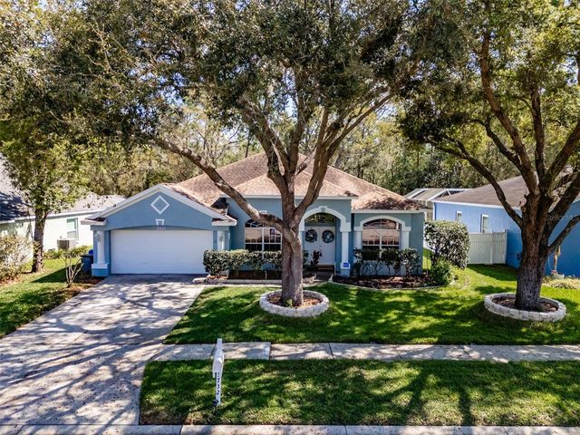 3732 HOLLOW WOOD DRIVE, Valrico, FL 33596