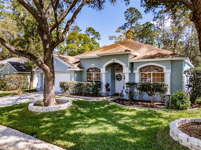 3732 HOLLOW WOOD DRIVE, Valrico, FL 33596