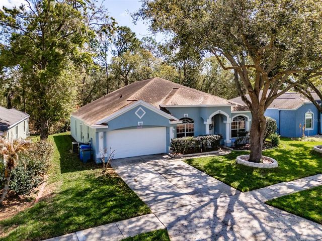 3732 HOLLOW WOOD DRIVE, Valrico, FL 33596