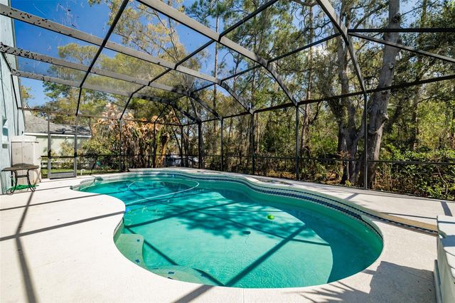 3732 HOLLOW WOOD DRIVE, Valrico, FL 33596