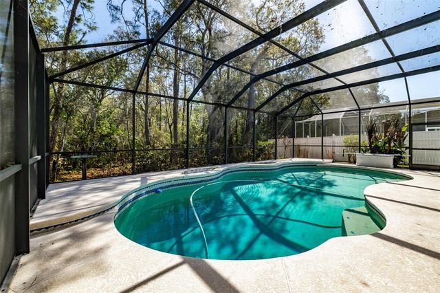 3732 HOLLOW WOOD DRIVE, Valrico, FL 33596