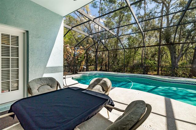 3732 HOLLOW WOOD DRIVE, Valrico, FL 33596