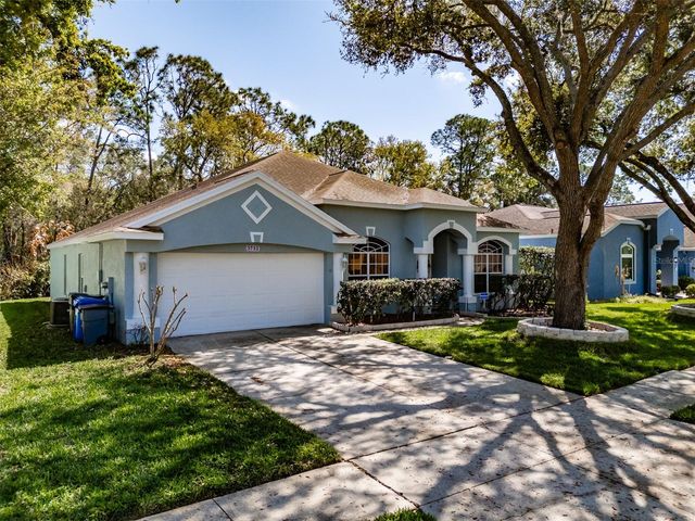 3732 HOLLOW WOOD DRIVE, Valrico, FL 33596