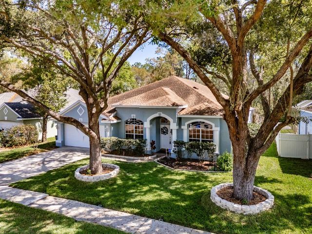 3732 HOLLOW WOOD DRIVE, Valrico, FL 33596