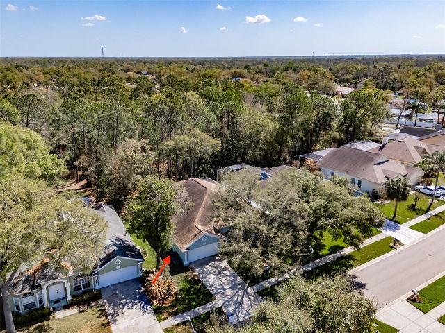 3732 HOLLOW WOOD DRIVE, Valrico, FL 33596