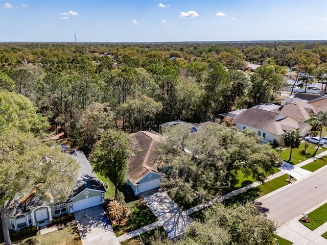 3732 HOLLOW WOOD DRIVE, Valrico, FL 33596