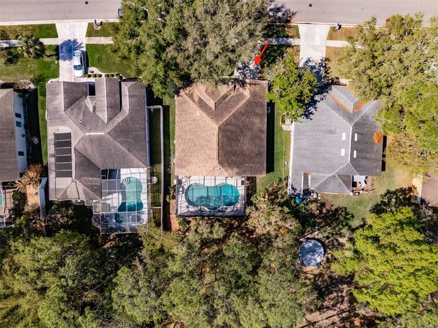 3732 HOLLOW WOOD DRIVE, Valrico, FL 33596