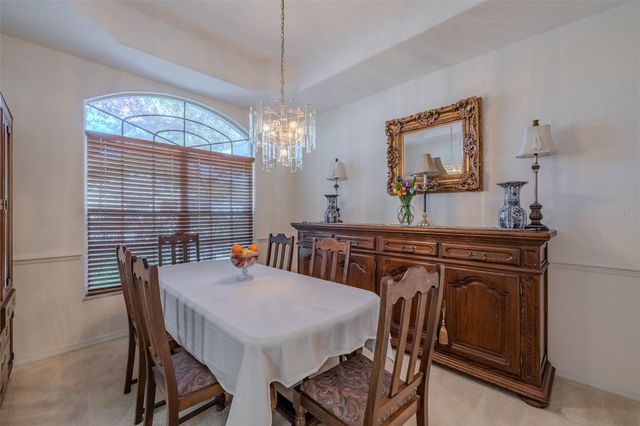 3732 HOLLOW WOOD DRIVE, Valrico, FL 33596