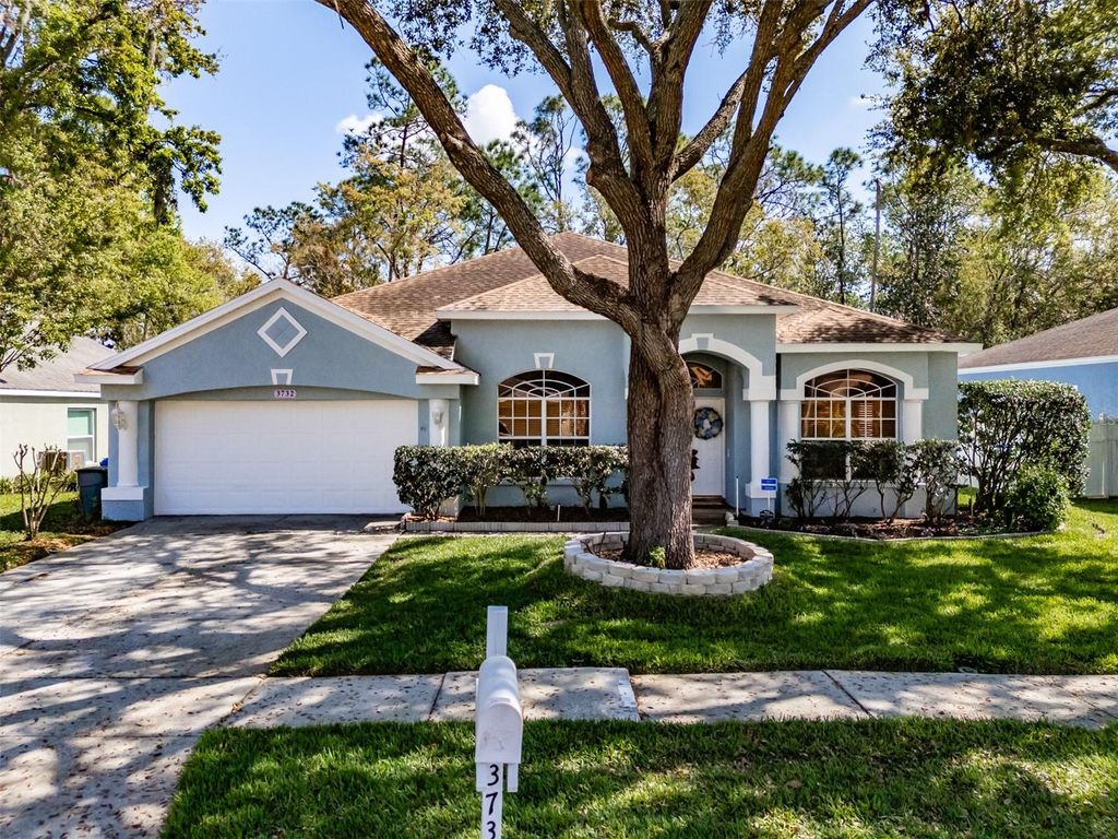 3732 HOLLOW WOOD DRIVE, Valrico, FL 33596