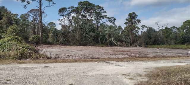 1038 Redbird Street, Lake Placid, FL 33852