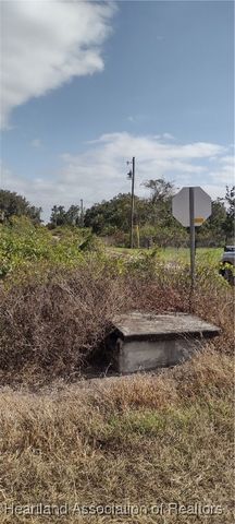 1038 Redbird Street, Lake Placid, FL 33852