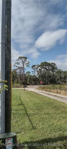 1038 Redbird Street, Lake Placid, FL 33852