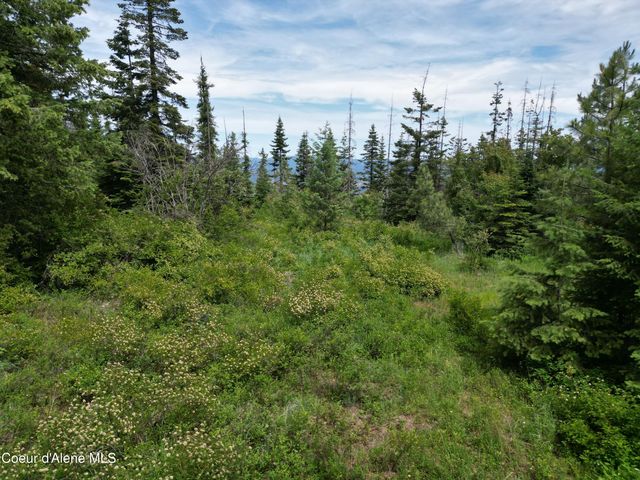 NKA Initial Peak Rd, Cataldo, ID 83810