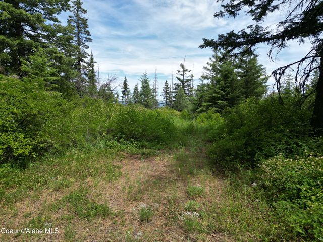 NKA Initial Peak Rd, Cataldo, ID 83810