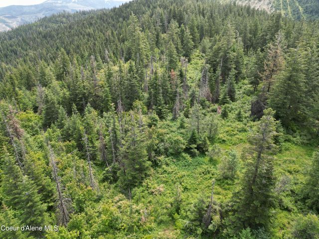 NKA Initial Peak Rd, Cataldo, ID 83810