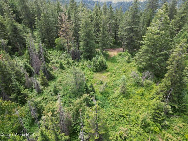 NKA Initial Peak Rd, Cataldo, ID 83810