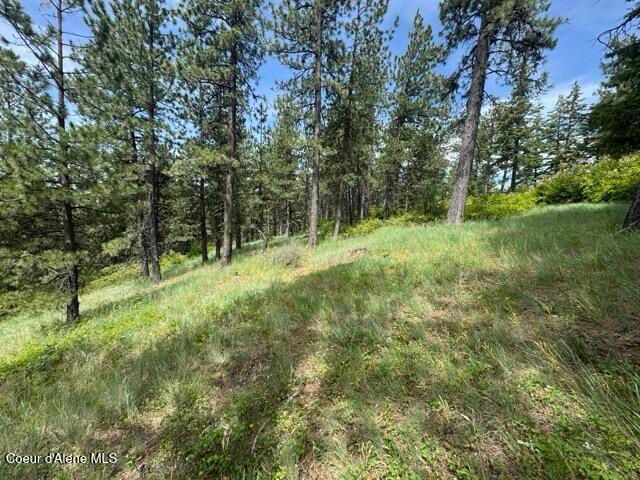 NKA Initial Peak Rd, Cataldo, ID 83810