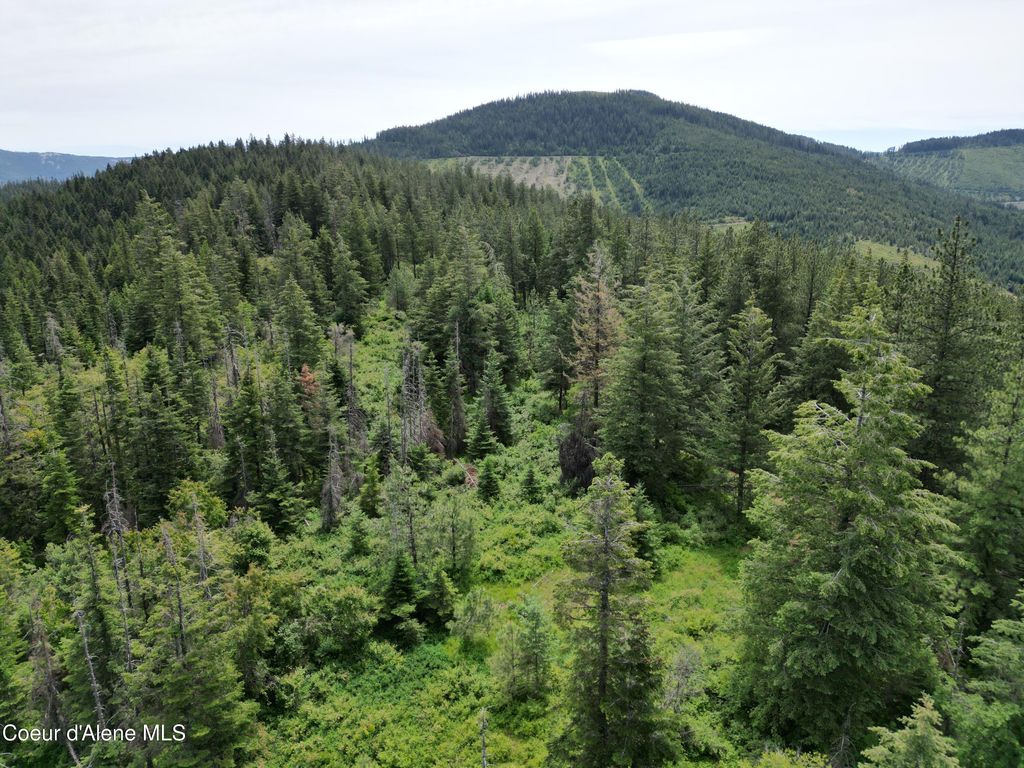 NKA Initial Peak Rd, Cataldo, ID 83810