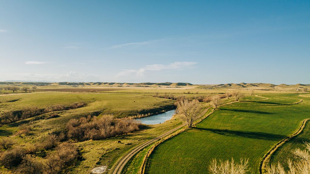 1321 Sussex Road, Kaycee, WY 82639 photo 16